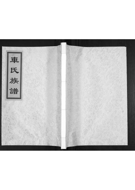 山东车氏-即墨车氏族谱.pdf电子版插图