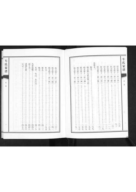 山东车氏-车氏家谱.pdf电子版插图3