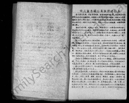 四川陈氏-颖川陈氏族谱.pdf电子版插图2