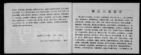 四川陈氏-义门墨池陈氏族谱.pdf电子版插图4