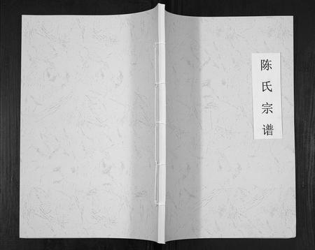 四川陈氏-陈氏宗谱[不分卷].pdf电子版插图