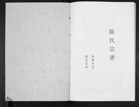 四川陈氏-陈氏宗谱[不分卷].pdf电子版插图1