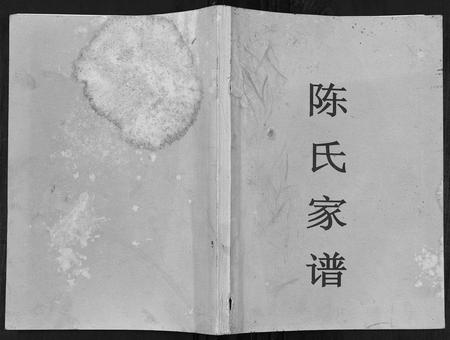 四川陈氏-陈氏家谱[7卷].pdf电子版插图