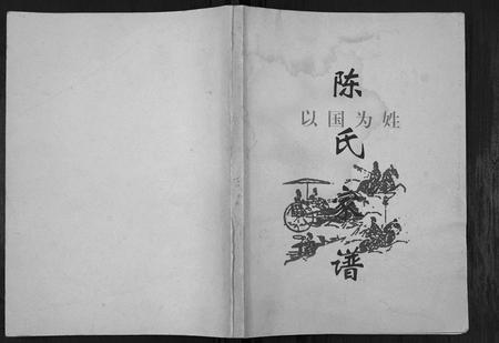 四川陈氏-陈氏家谱[不分卷].pdf电子版插图