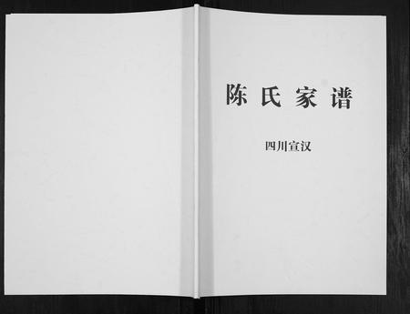 四川陈氏-陈氏家谱[不分卷].pdf电子版插图