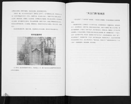 四川陈氏-陈氏家谱[不分卷].pdf电子版插图4