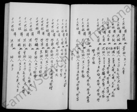 四川陈氏-陈氏族谱.pdf电子版插图5