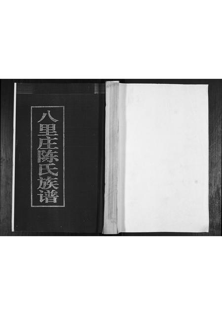 山东陈氏-八里庄陈氏族谱.pdf电子版插图