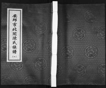 山东陈氏-安邱市北关陈氏族谱[9卷].pdf电子版插图