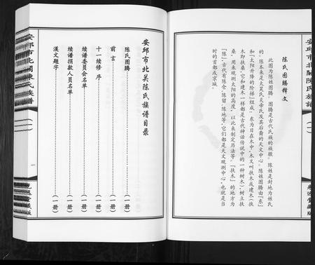山东陈氏-安邱市北关陈氏族谱[9卷].pdf电子版插图2