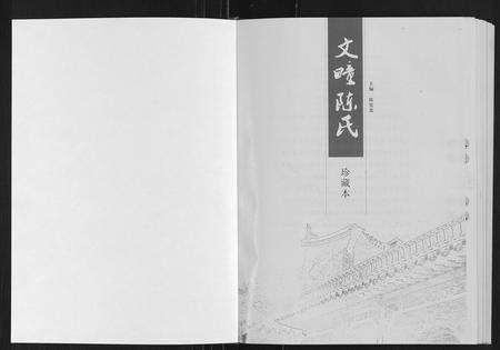 山东陈氏-文疃陈氏.pdf电子版插图1