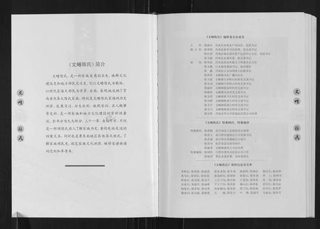 山东陈氏-文疃陈氏.pdf电子版插图2