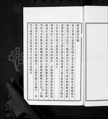 山东陈氏-沂南县陈氏族谱 [5卷](别名：陈氏族谱).pdf电子版插图3