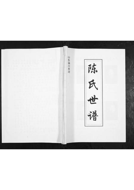 山东陈氏-陈氏世谱.pdf电子版插图