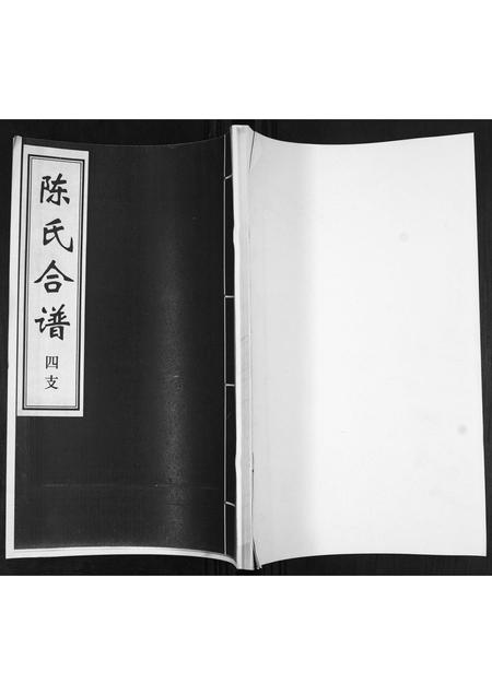 山东陈氏-陈氏合谱[4卷].pdf电子版插图