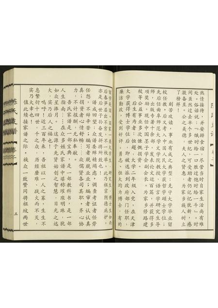 山东陈氏-陈氏支谱.pdf电子版插图4