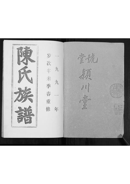 山东陈氏-陈氏族谱.pdf电子版插图1