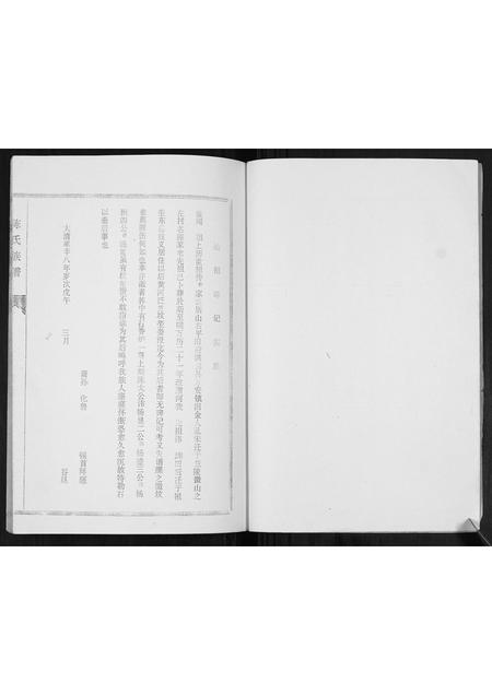 山东陈氏-陈氏族谱.pdf电子版插图2