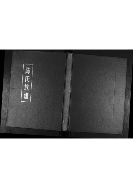 山东陈氏-陈氏族谱.pdf电子版插图