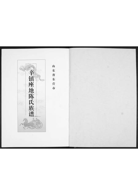 山东陈氏-陈氏族谱.pdf电子版插图1