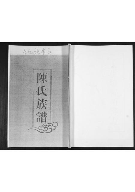 山东陈氏-陈氏族谱.pdf电子版插图