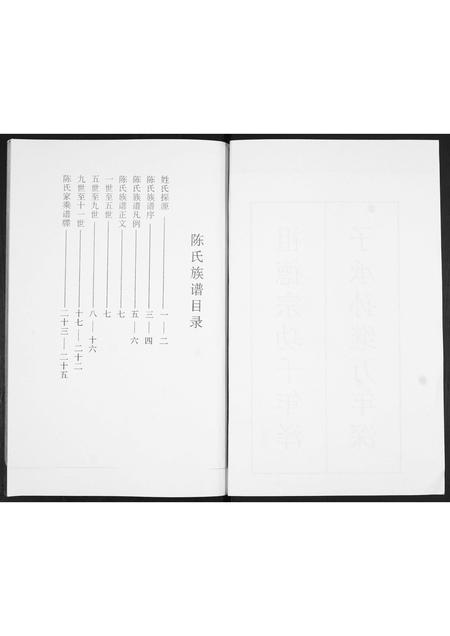 山东陈氏-陈氏族谱.pdf电子版插图1