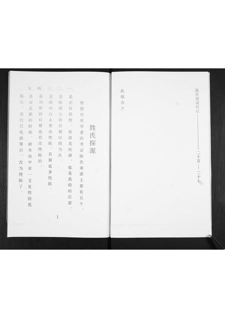 山东陈氏-陈氏族谱.pdf电子版插图2