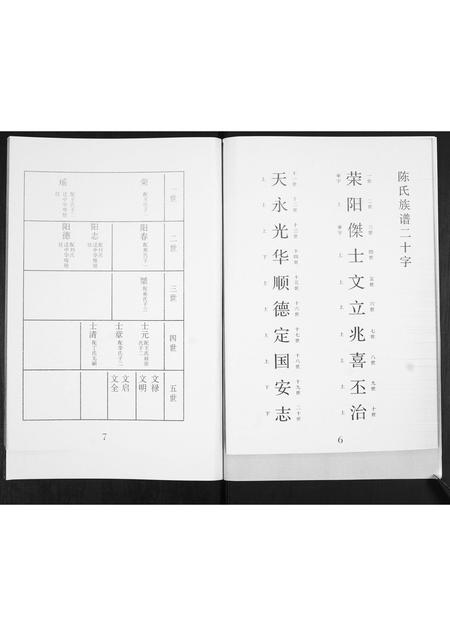 山东陈氏-陈氏族谱.pdf电子版插图4