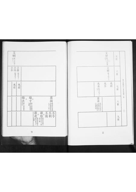 山东陈氏-陈氏族谱.pdf电子版插图5