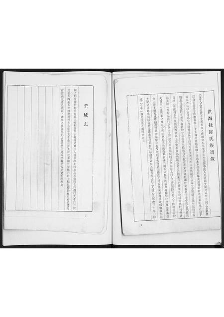 山东陈氏-陈氏族谱.pdf电子版插图2