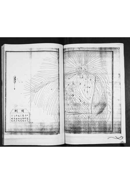山东陈氏-陈氏族谱.pdf电子版插图2