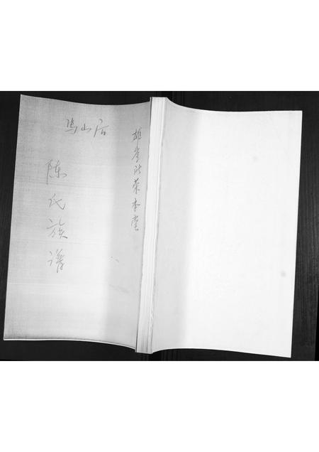 山东陈氏-陈氏族谱.pdf电子版插图