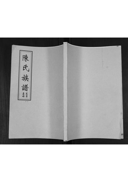 山东陈氏-陈氏族谱.pdf电子版插图