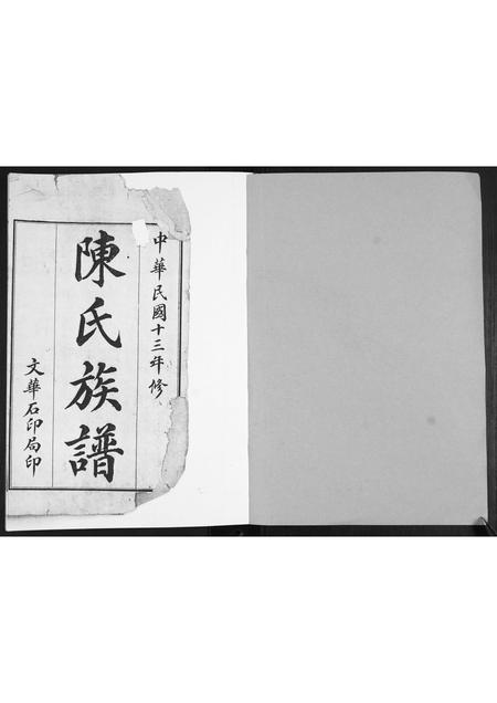 山东陈氏-陈氏族谱.pdf电子版插图1