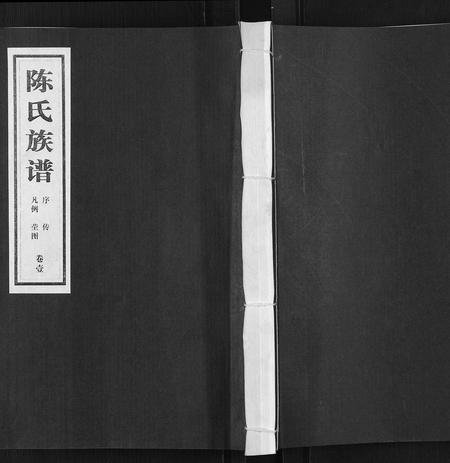 山东陈氏-陈氏族谱[5卷].pdf电子版插图