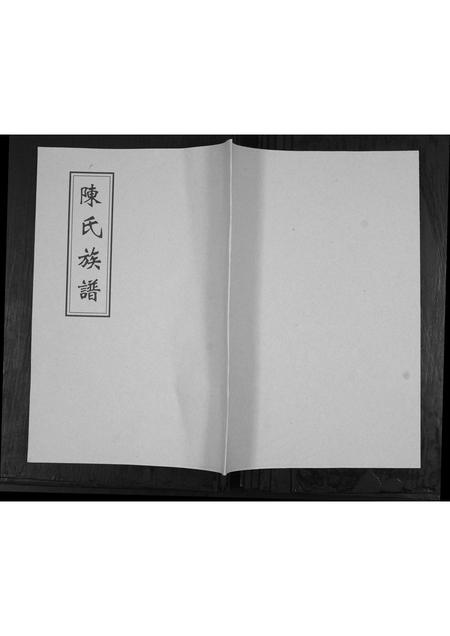 山东陈氏-陈氏族谱[不分卷].pdf电子版插图