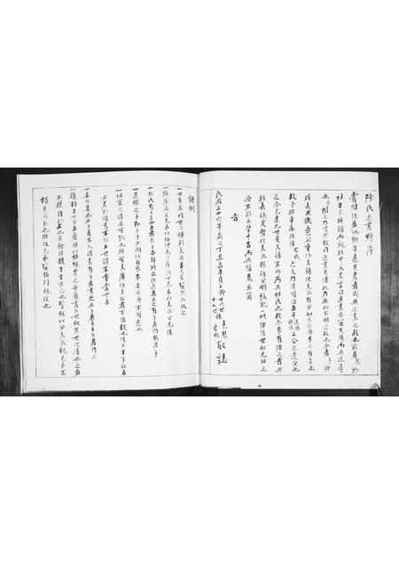 山东陈氏-陈氏追书.pdf电子版插图4