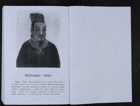 山东陈氏-淄川罗村陈氏宗谱 [不分卷].pdf电子版插图3