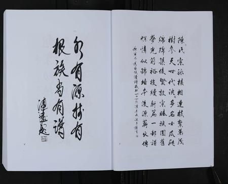 山东陈氏-淄川罗村陈氏宗谱 [不分卷].pdf电子版插图5