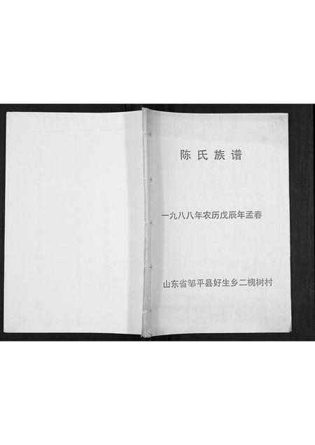 山东陈氏-陈氏族谱[不分卷].pdf电子版插图
