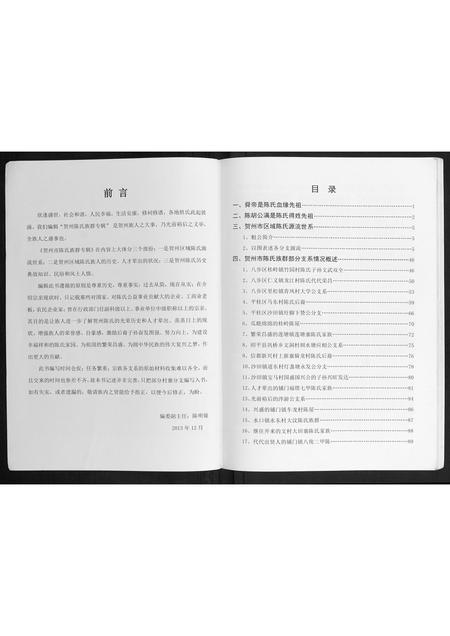 广西陈氏-贺州陈氏族群专辑.pdf电子版插图2