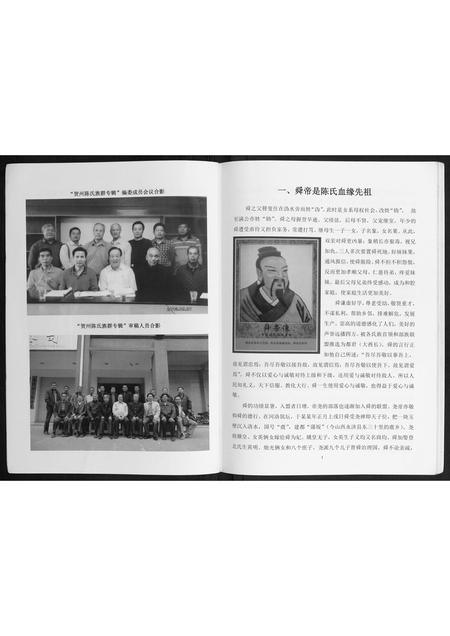 广西陈氏-贺州陈氏族群专辑.pdf电子版插图4