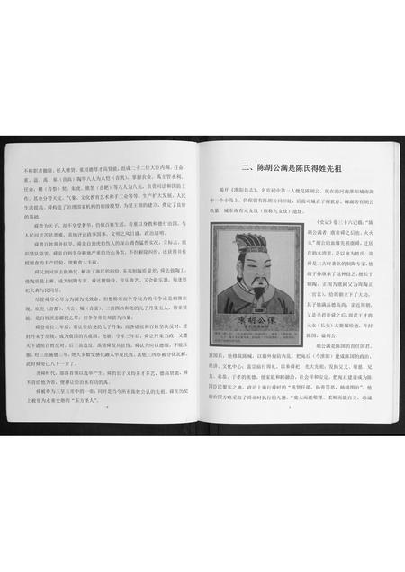 广西陈氏-贺州陈氏族群专辑.pdf电子版插图5