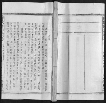 广西陈氏-陈氏宗谱.pdf电子版