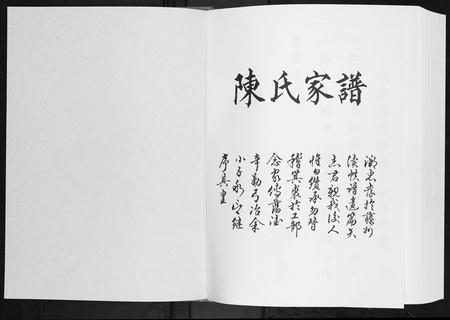 广西陈氏-陈氏家谱.pdf电子版插图1 广西陈氏-陈氏家谱.pdf电子版插图1