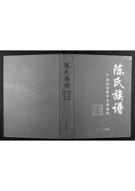 广西陈氏-陈氏族谱.pdf电子版插图