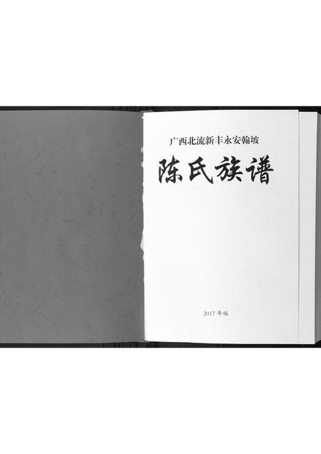 广西陈氏-陈氏族谱.pdf电子版插图1