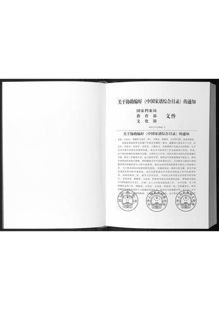 广西陈氏-陈氏族谱.pdf电子版插图2