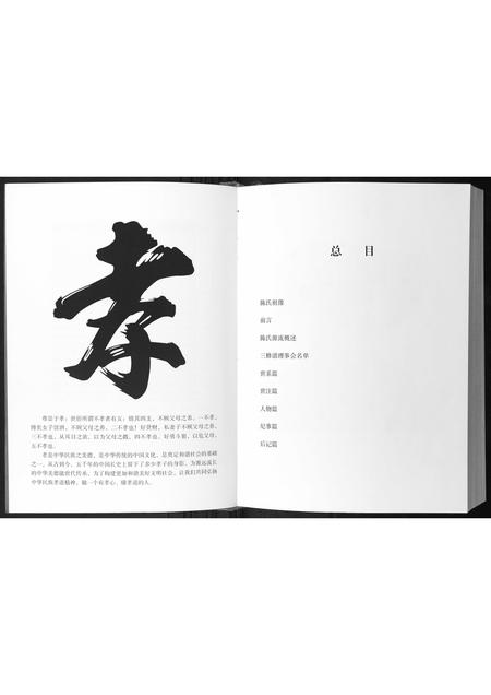 广西陈氏-陈氏族谱.pdf电子版插图3