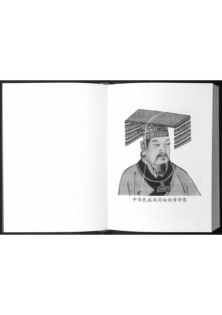 广西陈氏-陈氏族谱.pdf电子版插图4